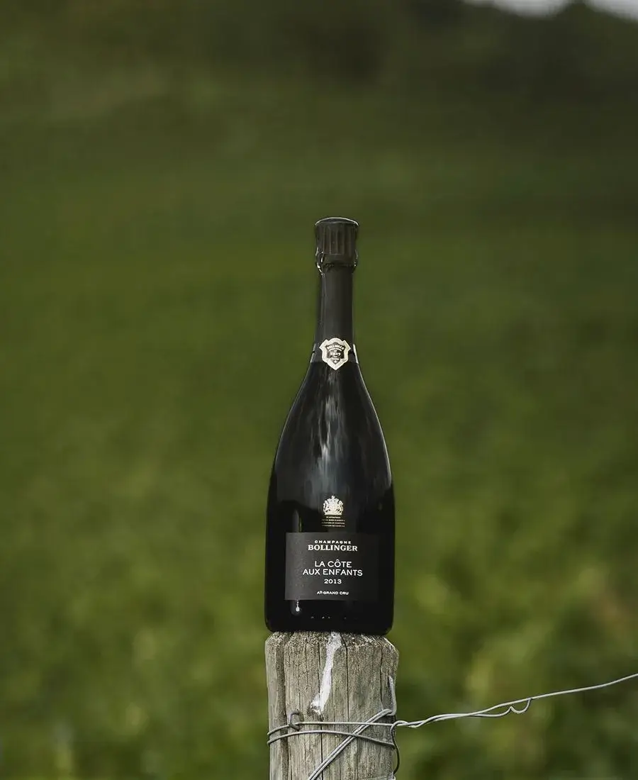 La Côte aux Enfants　Champagne 2013